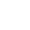 Icon-Image-2